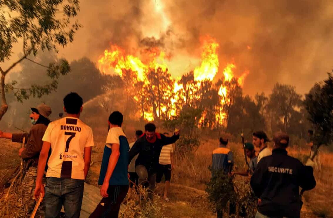 Villagers attempt to put out a wildfire in the Kabylie region of Tizi Ouzou, Algeria. Photograph: Abdelaziz Boumzar/ Reuters.
